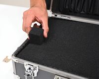 CASE-1813